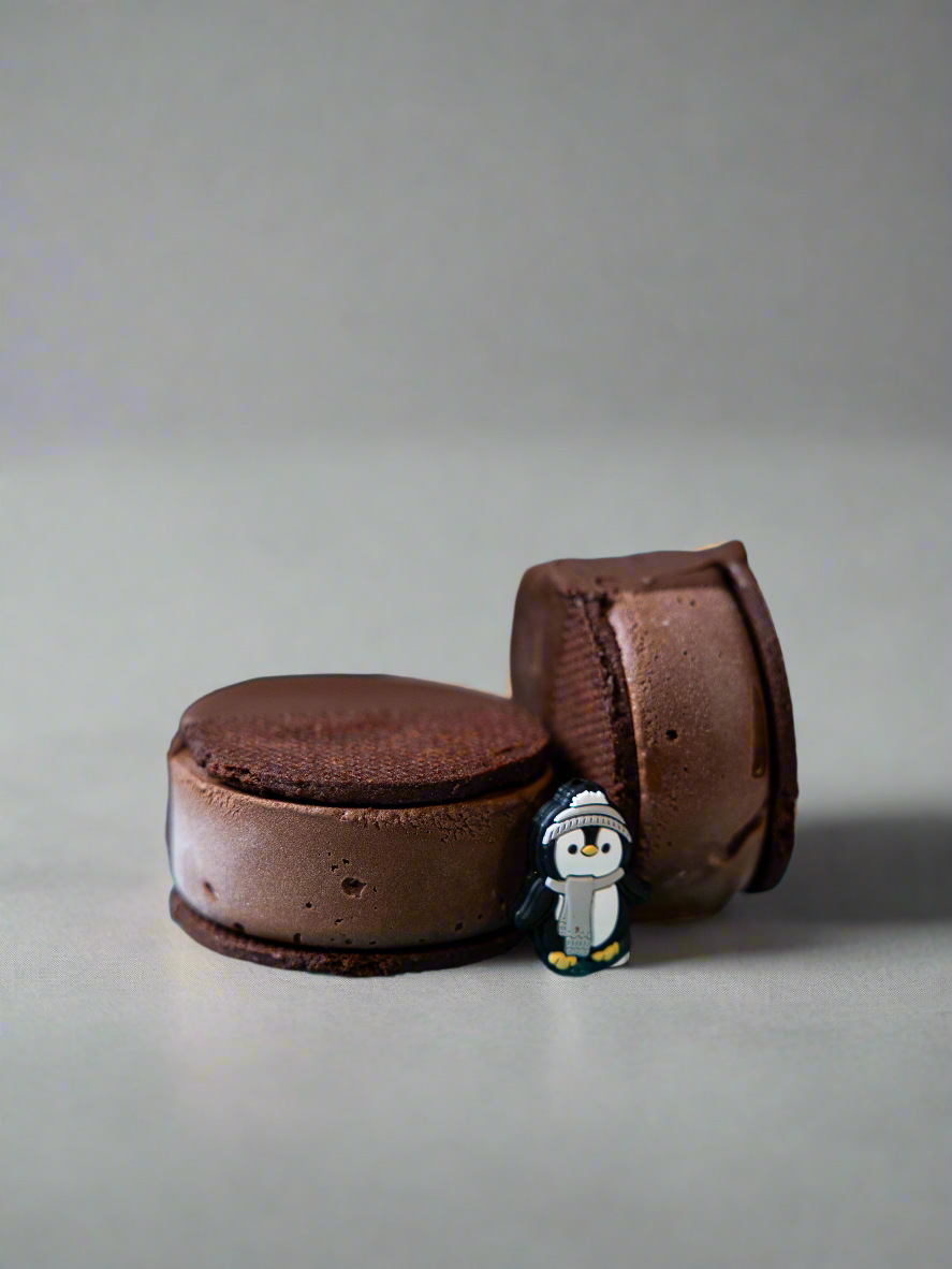 Dark Chocolate ice Cream Sandwich